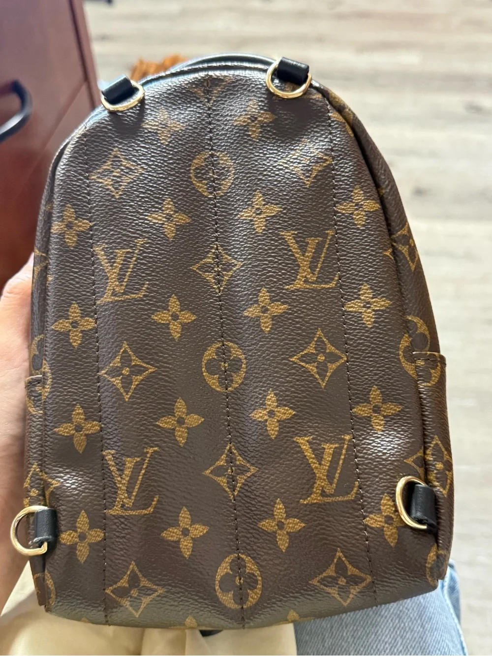 Louis Vuitton Brown Monogram Palm Springs Mini Backpack authentic